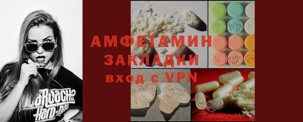 СК Алексин