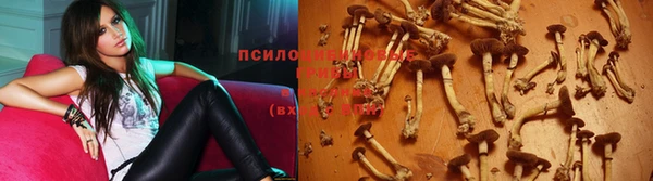 прущие крисы Россошь